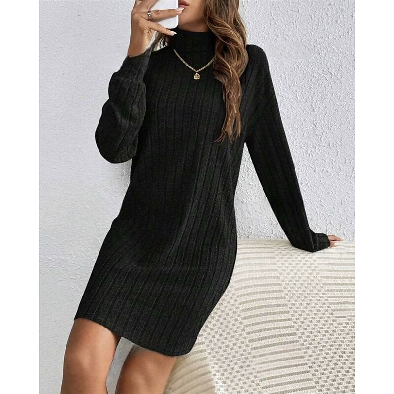 Women's Rib Knit Turtleneck Jumper Dress