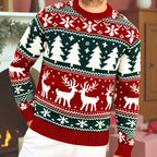 Women's Thick Knit Christmas Jumper with Classic Winter Motifs - Red