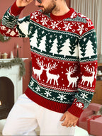 Women's Thick Knit Christmas Jumper with Classic Winter Motifs