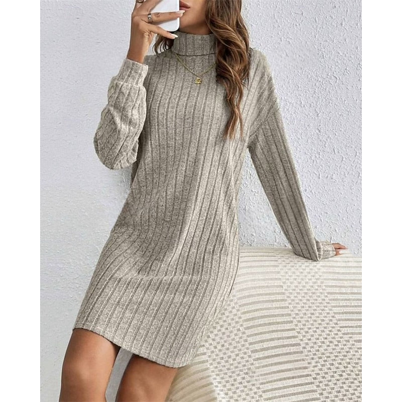 Women's Rib Knit Turtleneck Jumper Dress