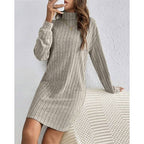 Women's Rib Knit Turtleneck Jumper Dress
