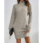 Women's Rib Knit Turtleneck Jumper Dress