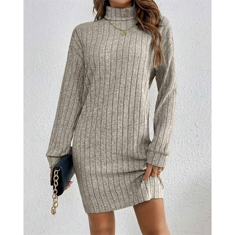 Women's Rib Knit Turtleneck Jumper Dress
